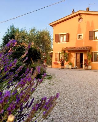 Locanda della Lavanda