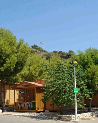 Camping Santamarta
