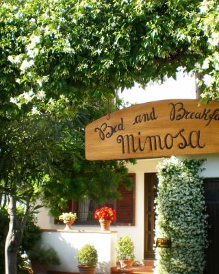 Bed and Breakfast Mimosa