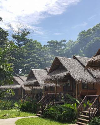 Jungle Garden