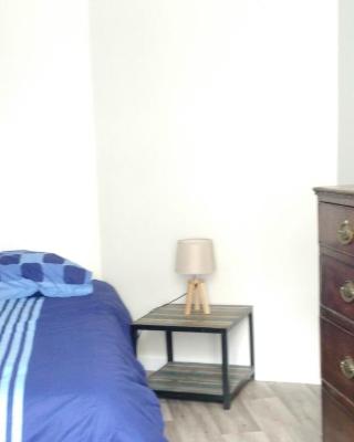 1 Bedroom Flat, 20m2, Metro line 7 direct to Louvre, near Olympic Sites -Parking & Wifi
