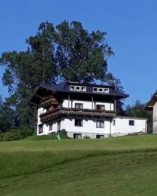 Appartement Wildkogelblick