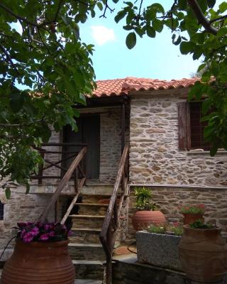 Pelion Zervochia
