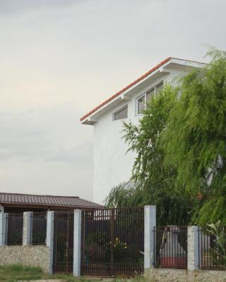 Vila Isabela
