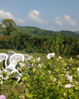 Le clos des vignes