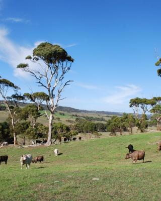 Back Valley Farmstay Bed and Breakfast