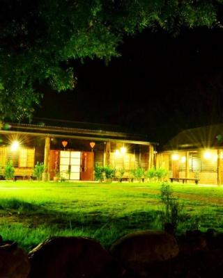 初鹿敦親牧鄰民宿