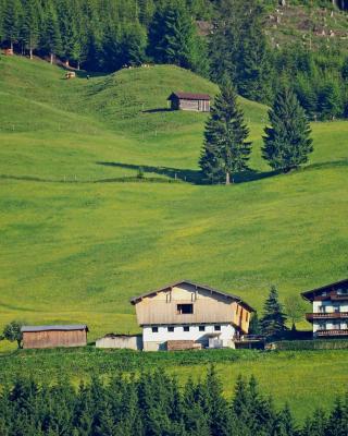 Ferienhaus Hochwimmer