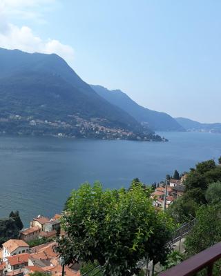 Cà Sassello