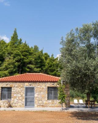 The Ideal Secluded Retreat