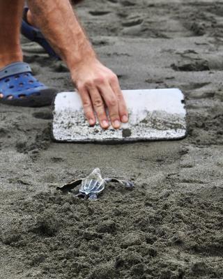 Casa Grande at Pacuare Reserve