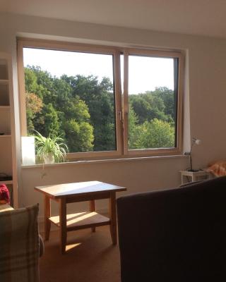 Haus am Wald