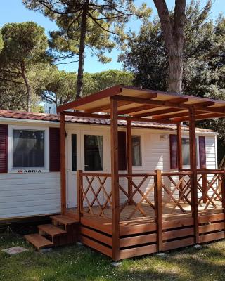 Victoria Mobilehome in Camping Mare e Pineta