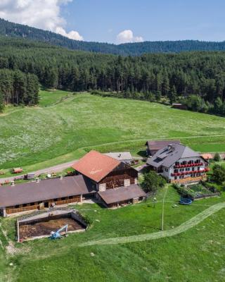 Schartnerhof