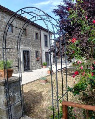 B&B Paternocchio