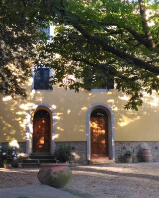 Il Tasso