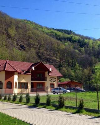 Pensiunea Silva Dobra