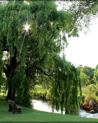 Aqua Terra Guest House