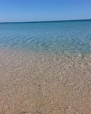 Tenuta Nonno Carmine