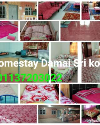 Homestay Damai Sri Kota