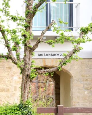 Alte Stadtmauer - Apartment