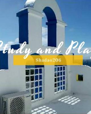 ShaDao 206