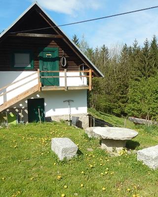 Ferienhaus am Reitbauernhof Luckyranch