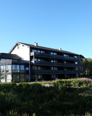 Fjelltun Fritidsleiligheter, leilighet 407