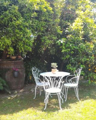 Casa Marinella