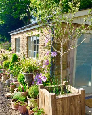 Lavender cottage