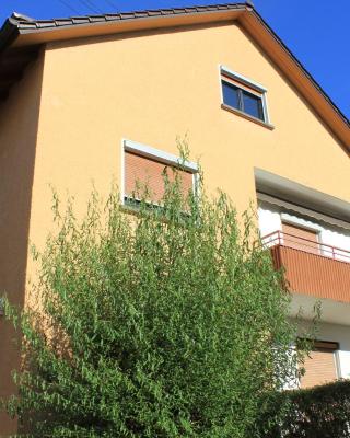 Apartments Mosbach