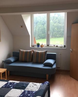 Apartmán Horní Lipová