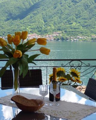 Isola Vista - Terrazzo