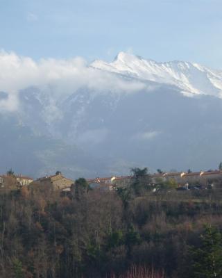 Chez Vivi