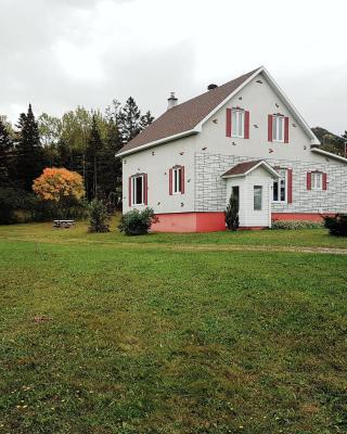 Chill Shack - Auberge Jeunesse