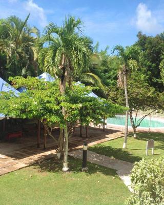 Caraïbes Holidays
