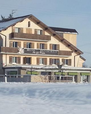 Hotel Restaurant LE YETI ancien Gai pinson