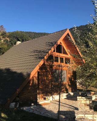 Chalet in the Forest