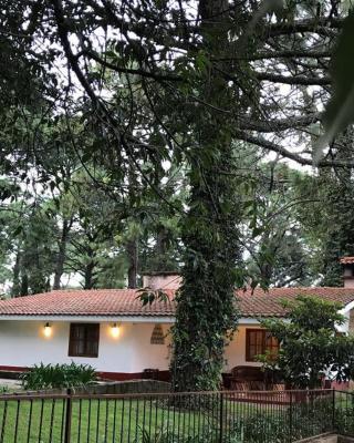 Cabaña Traslomita