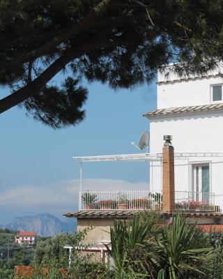 Sunset House