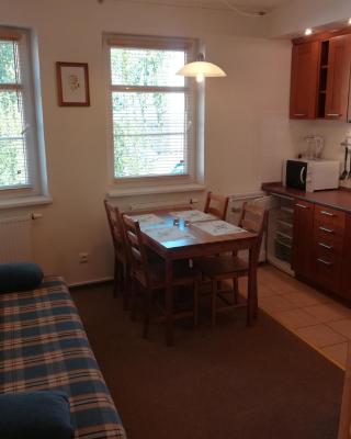 Apartments Rokytka 308 & 405