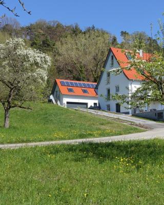 Ferienwohnung Süßenmühle Naturstrand