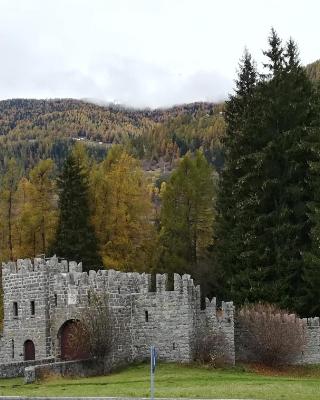Un Nido nella Torre del Castello