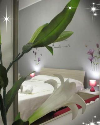 B&B Al centro di Lecce