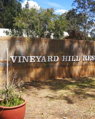 Vineyard Hill