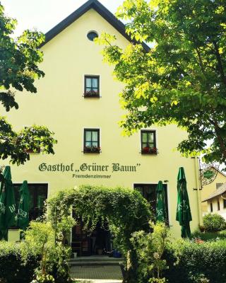 Hotel-Landgasthof Grüner Baum - Dittigheim