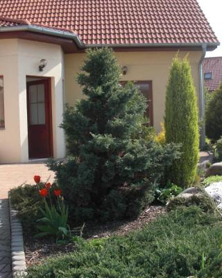 Pension Olga