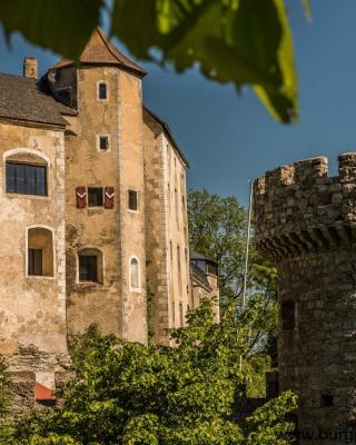 Burg Plankenstein