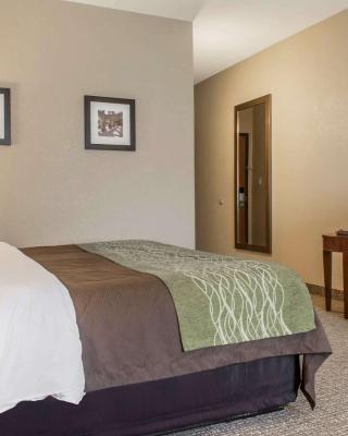 Comfort Inn Edinburg South