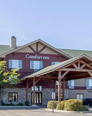 Comfort Inn Owatonna near Medical Center